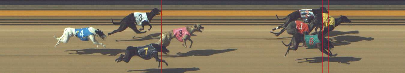 Photo finish for Shepparton Race 5