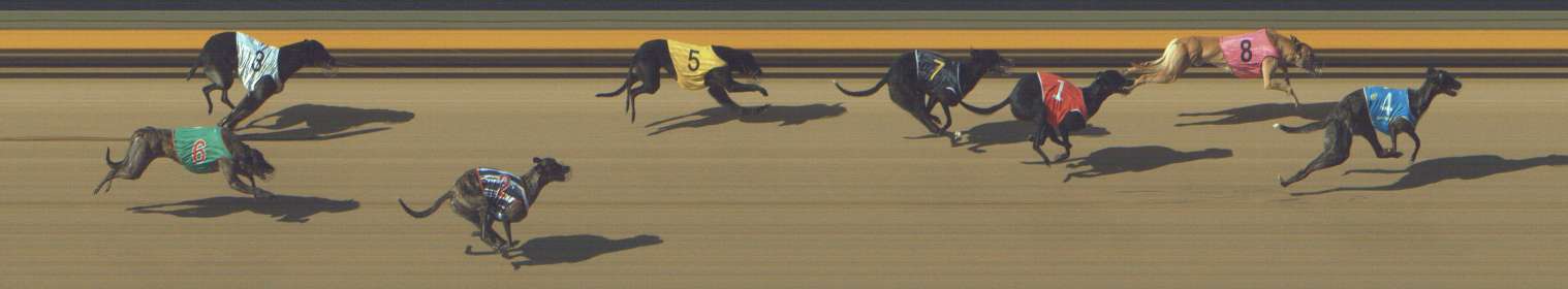 Photo finish for Shepparton Race 6