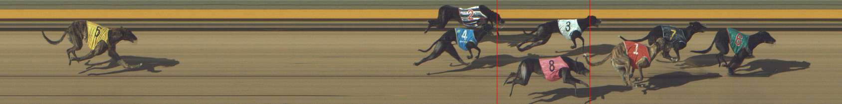 Photo finish for Shepparton Race 7