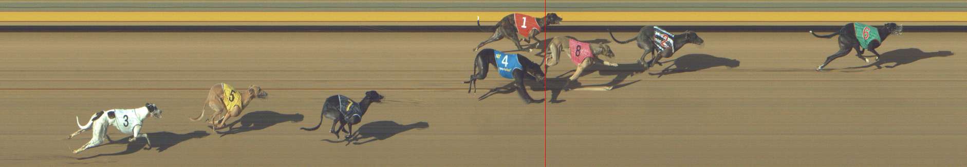Photo finish for Shepparton Race 8