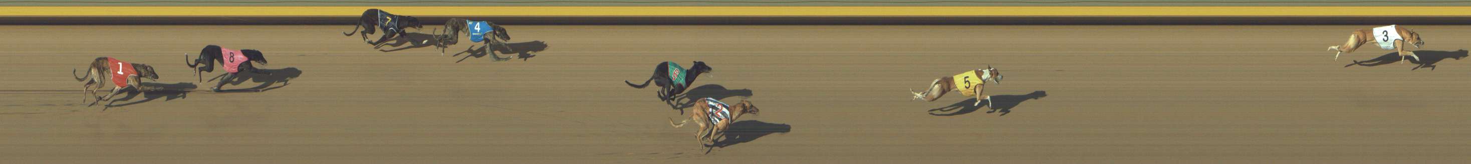 Photo finish for Shepparton Race 9