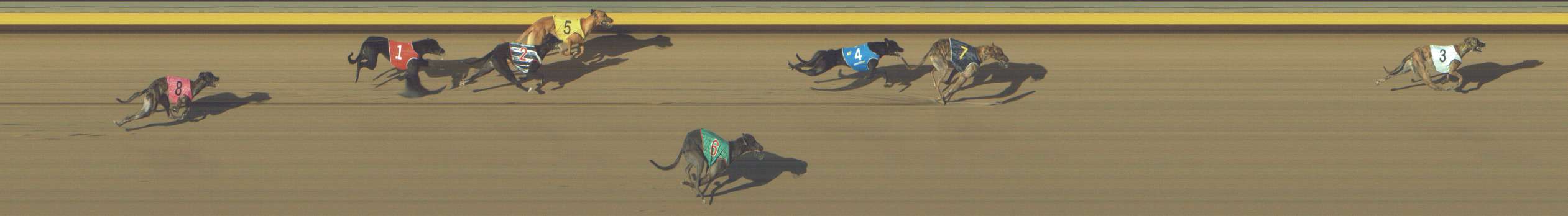 Photo finish for Shepparton Race 10