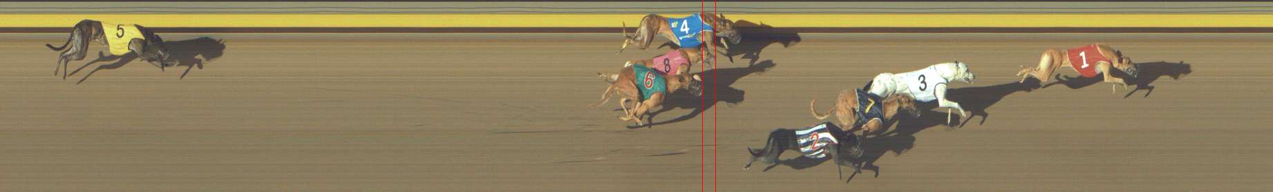 Photo finish for Shepparton Race 11