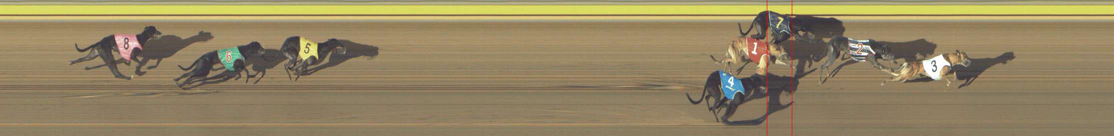 Photo finish for Shepparton Race 12