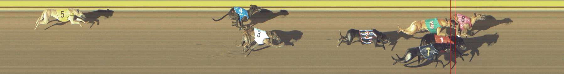 Photo finish for Shepparton Race 1
