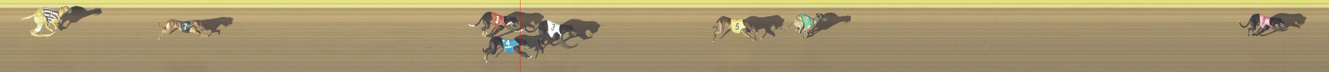 Photo finish for Shepparton Race 2