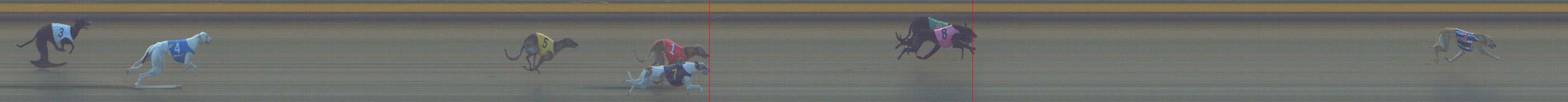 Photo finish for Shepparton Race 4