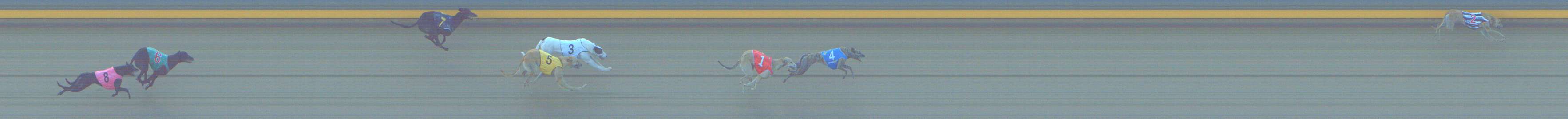 Photo finish for Shepparton Race 5