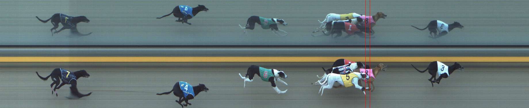 Photo finish for Shepparton Race 6