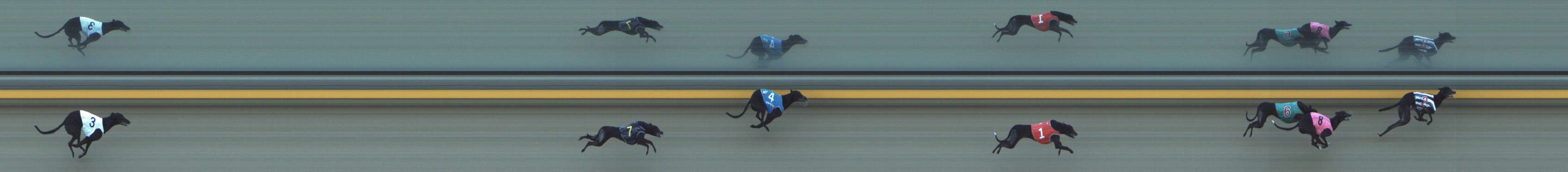 Photo finish for Shepparton Race 7