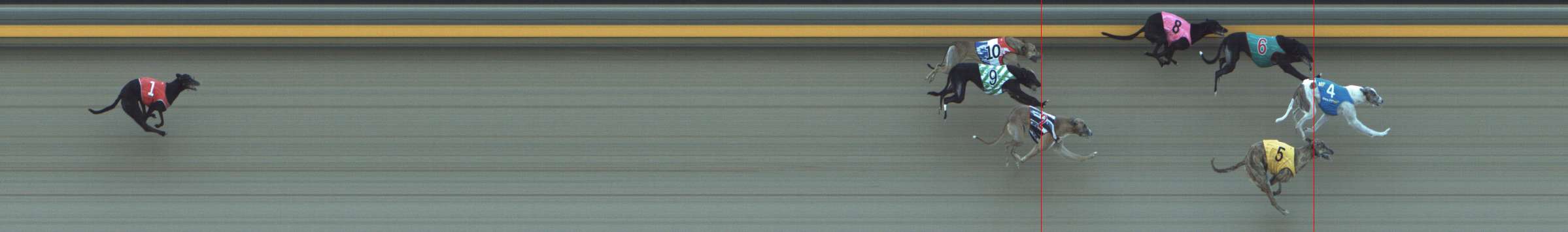 Photo finish for Shepparton Race 8