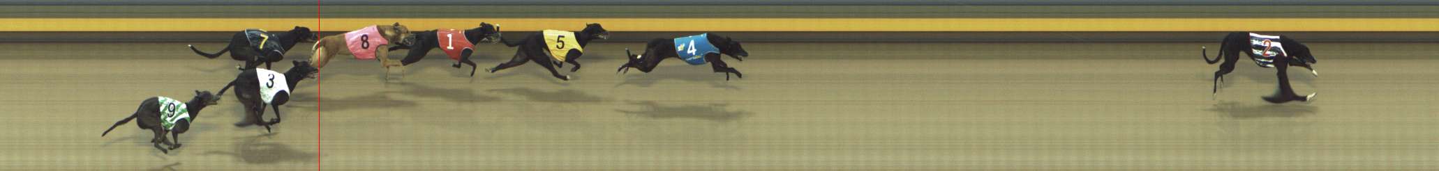 Photo finish for Shepparton Race 9