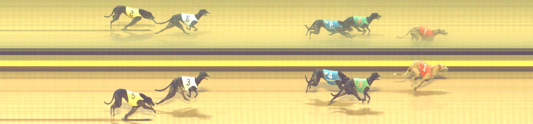 Photo finish for Shepparton Race 10