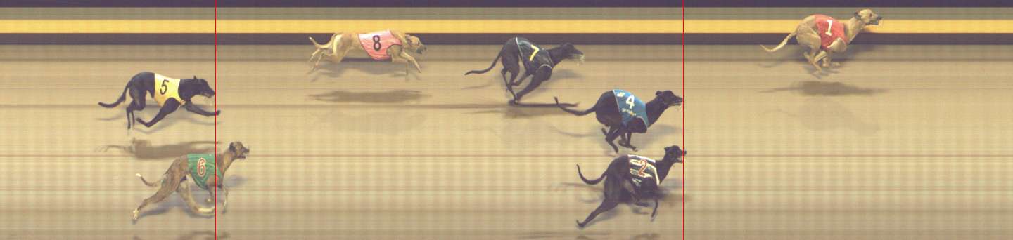 Photo finish for Shepparton Race 11