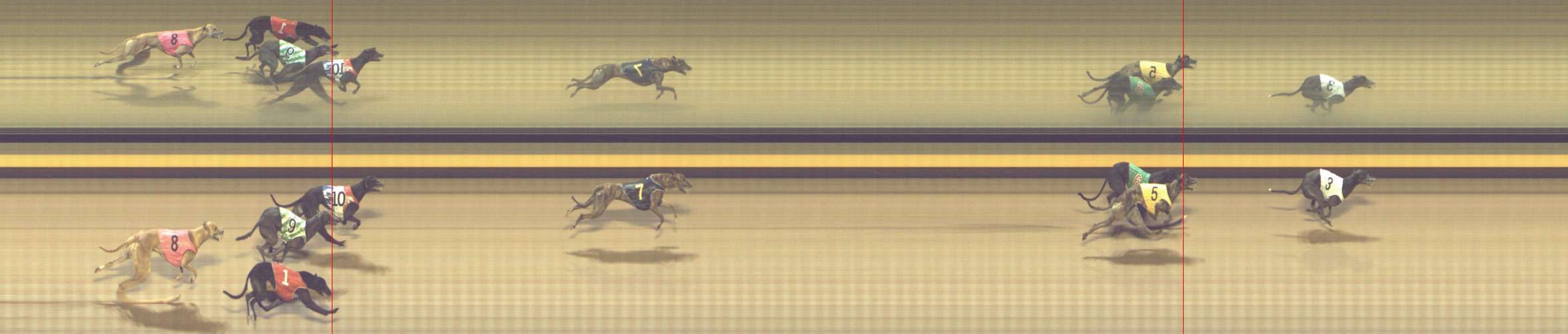 Photo finish for Shepparton Race 12