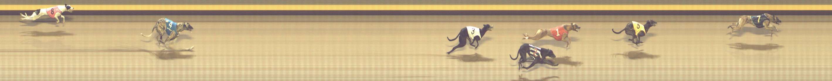 Photo finish for Shepparton Race 13