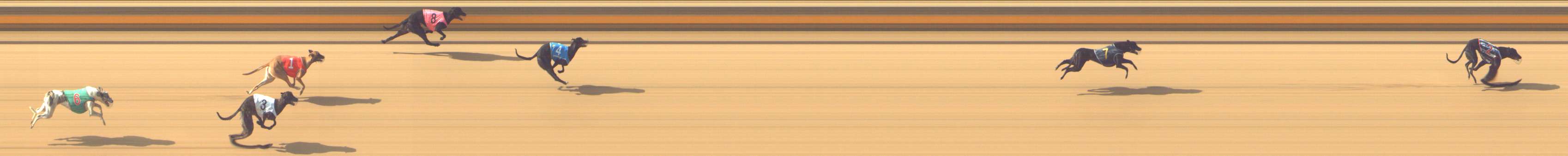 Photo finish for Shepparton Race 1
