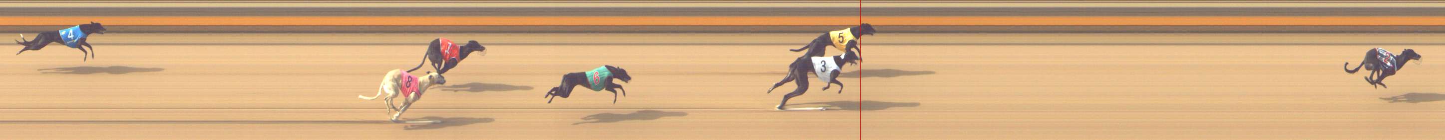 Photo finish for Shepparton Race 2