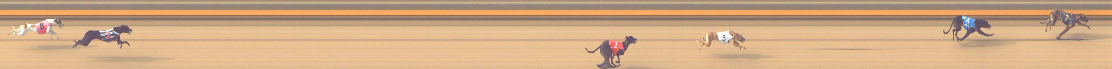 Photo finish for Shepparton Race 3