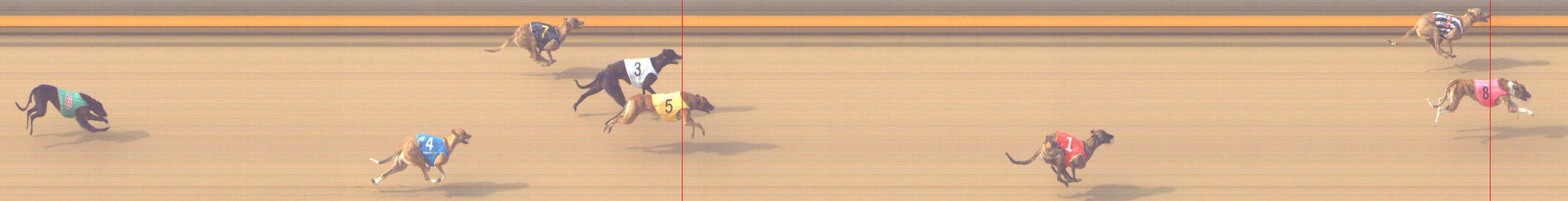 Photo finish for Shepparton Race 4