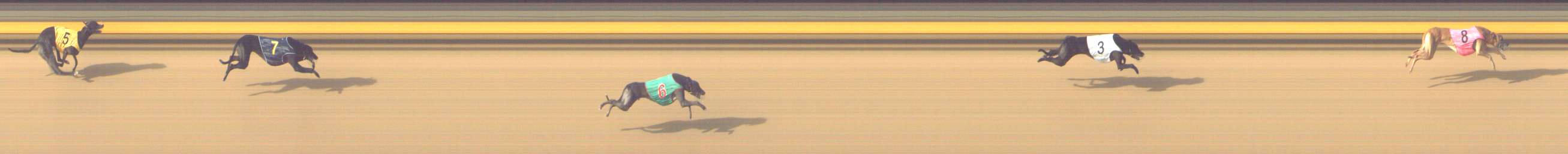 Photo finish for Shepparton Race 6
