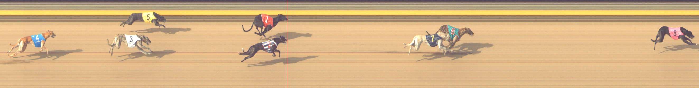 Photo finish for Shepparton Race 7