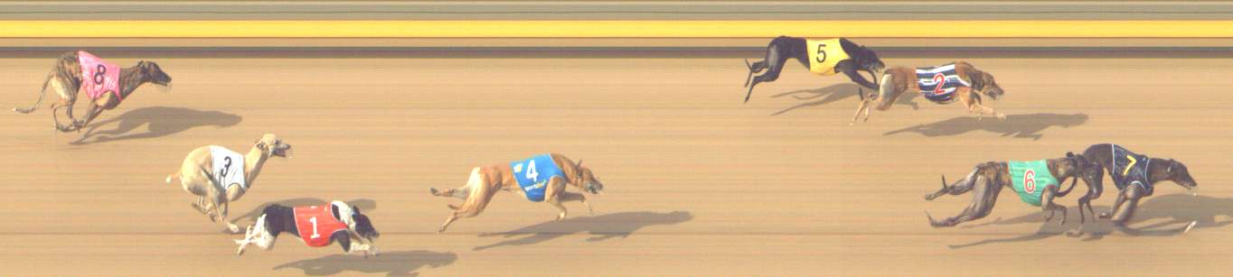 Photo finish for Shepparton Race 8