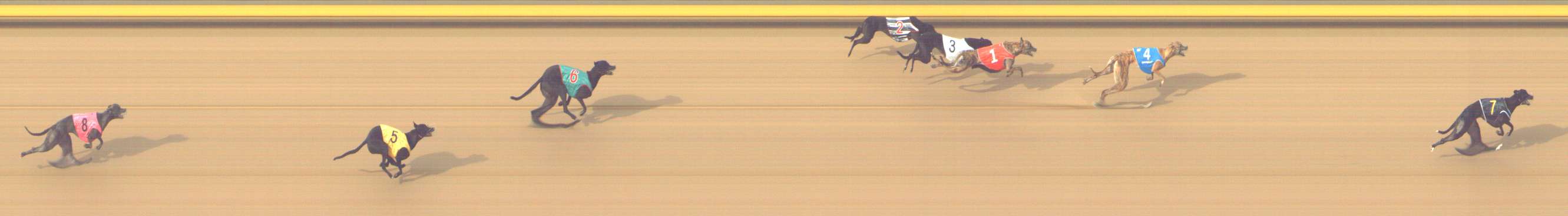 Photo finish for Shepparton Race 9