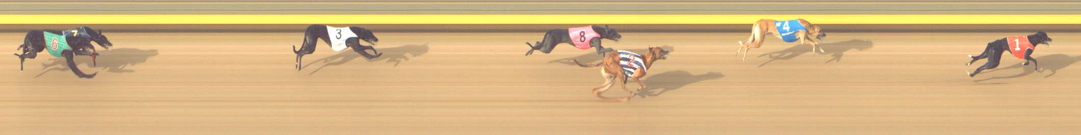 Photo finish for Shepparton Race 10