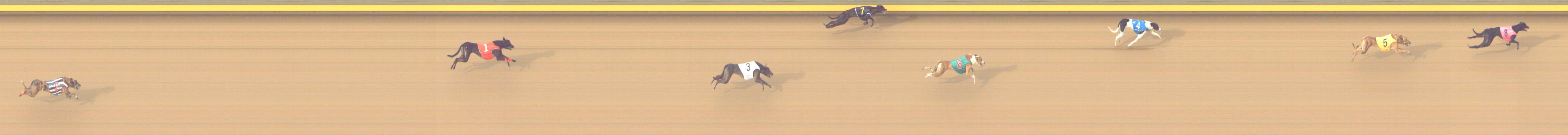 Photo finish for Shepparton Race 11