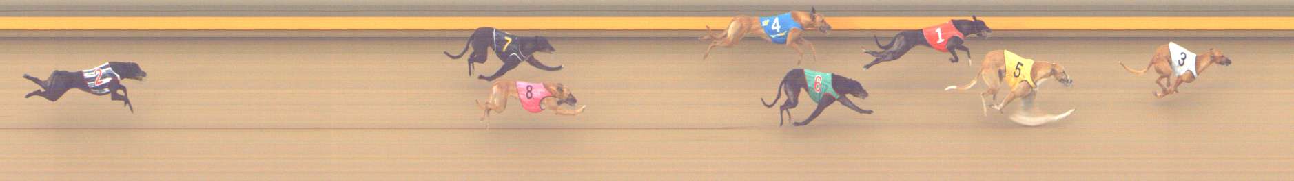 Photo finish for Shepparton Race 13