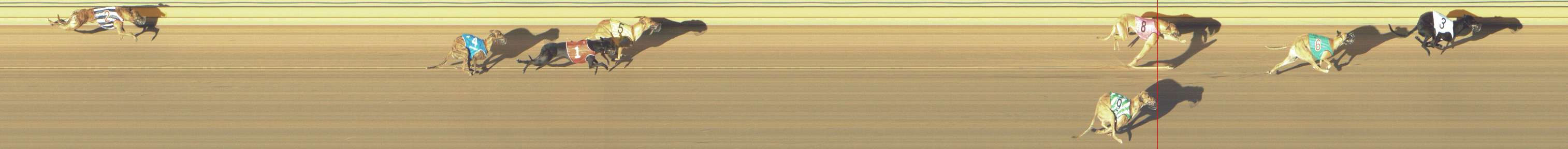 Photo finish for Shepparton Race 1