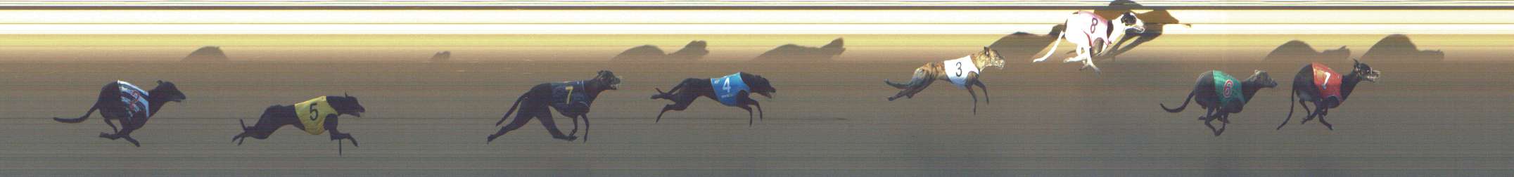 Photo finish for Shepparton Race 2