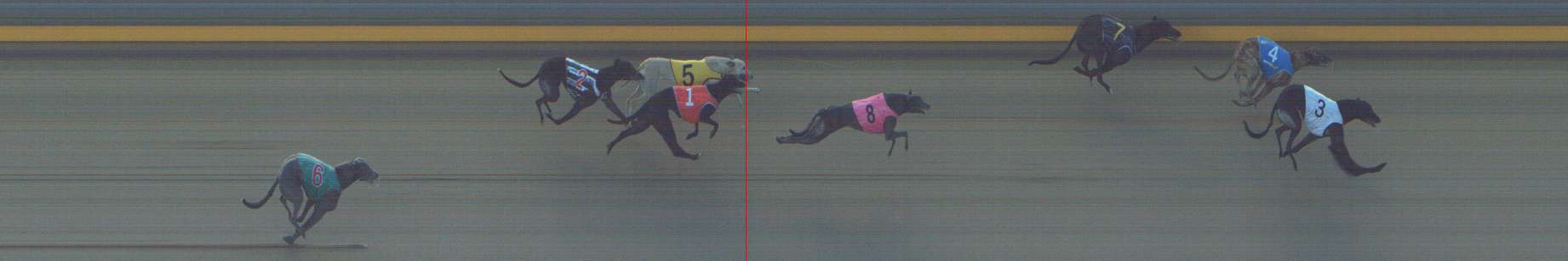 Photo finish for Shepparton Race 3