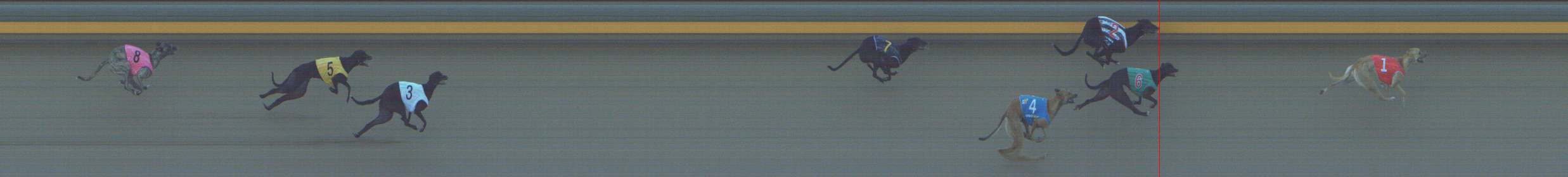 Photo finish for Shepparton Race 4