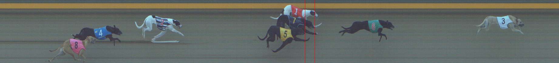 Photo finish for Shepparton Race 6