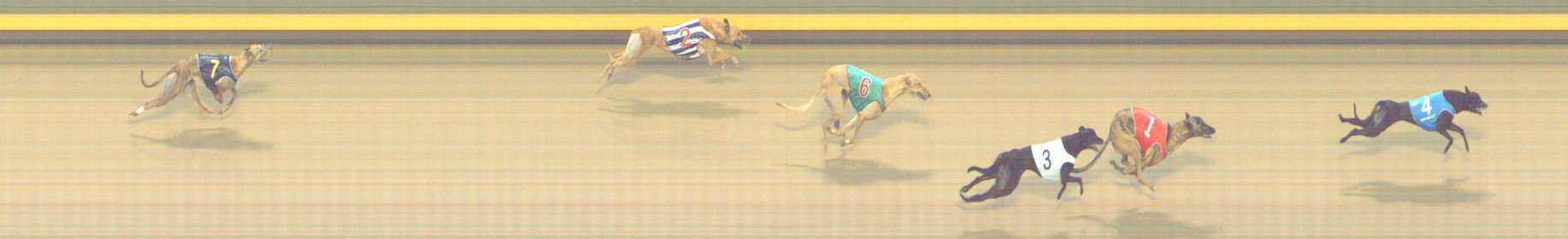 Photo finish for Shepparton Race 7