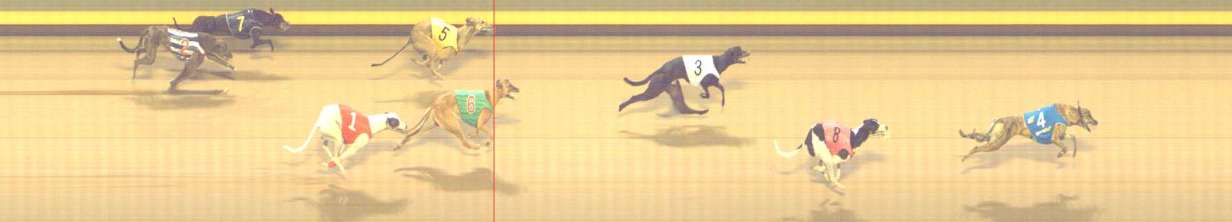 Photo finish for Shepparton Race 8