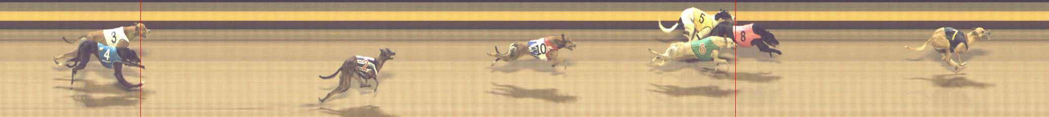 Photo finish for Shepparton Race 10