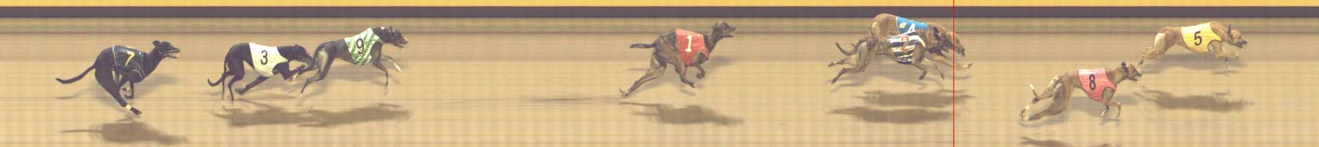 Photo finish for Shepparton Race 11