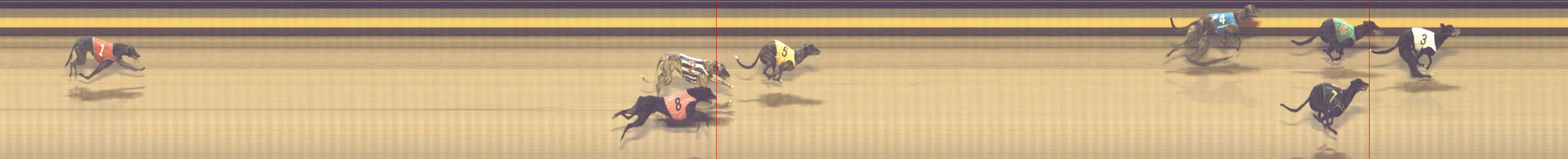 Photo finish for Shepparton Race 12