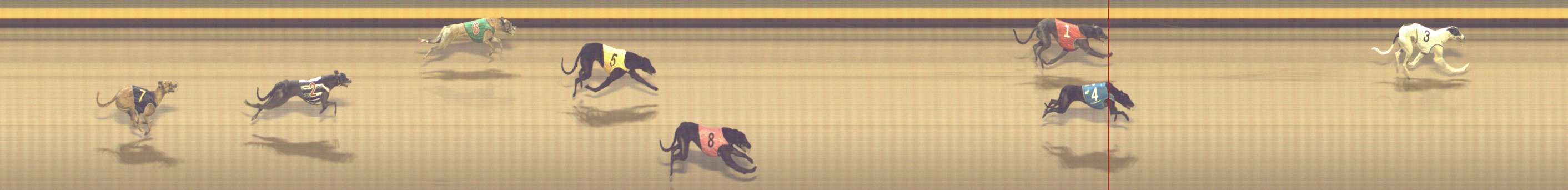 Photo finish for Shepparton Race 13