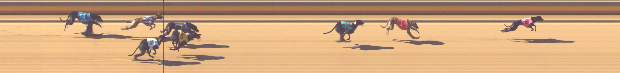 Photo finish for Shepparton Race 1