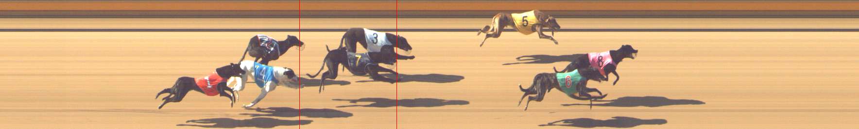 Photo finish for Shepparton Race 2
