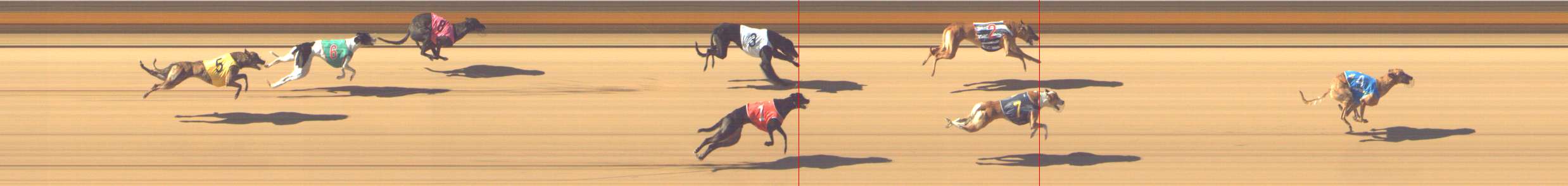 Photo finish for Shepparton Race 3