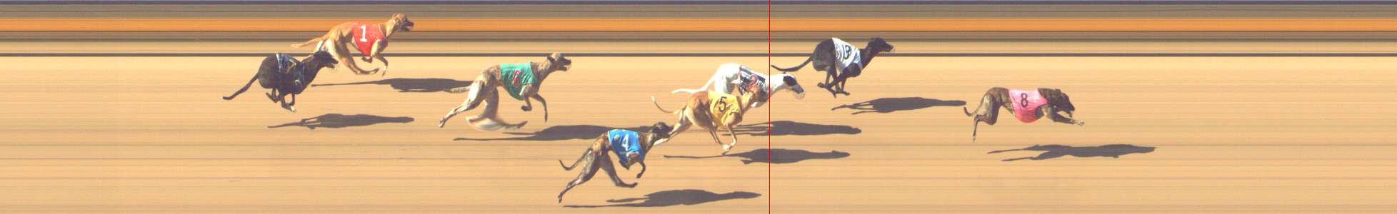 Photo finish for Shepparton Race 4