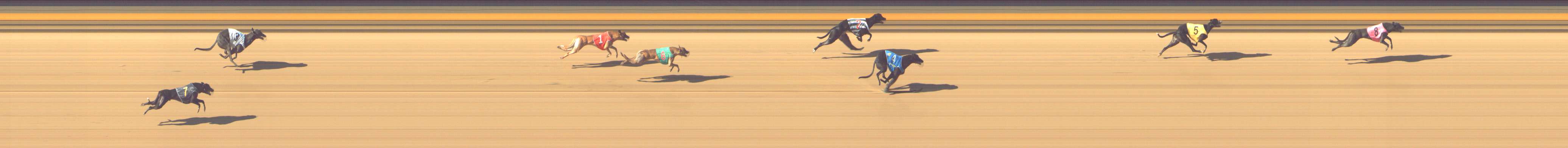 Photo finish for Shepparton Race 5