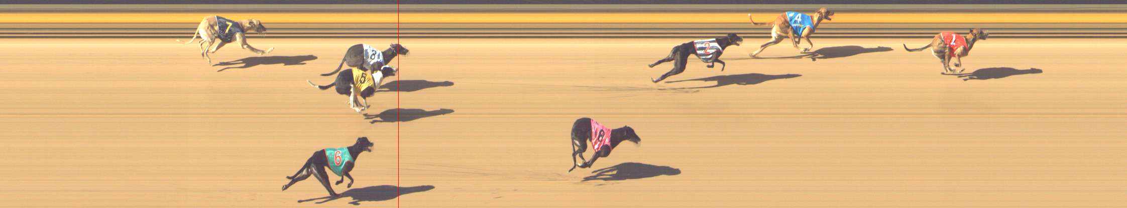 Photo finish for Shepparton Race 6
