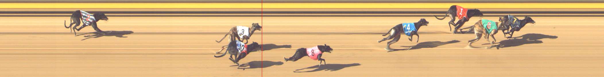 Photo finish for Shepparton Race 7