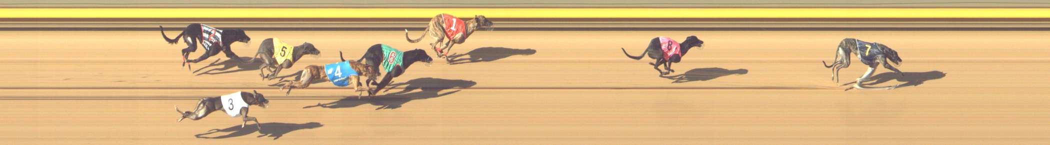 Photo finish for Shepparton Race 8